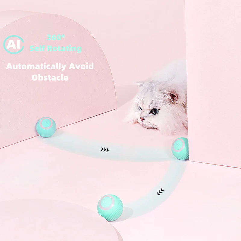 KatzenTanz™ - Activate your cat's natural instincts! [Last day discount]