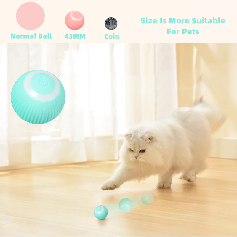 KatzenTanz™ - Activate your cat's natural instincts! [Last day discount]