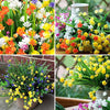 FloraFaux™ - Beautiful, realistic artificial flowers for outdoor use [last day discount]