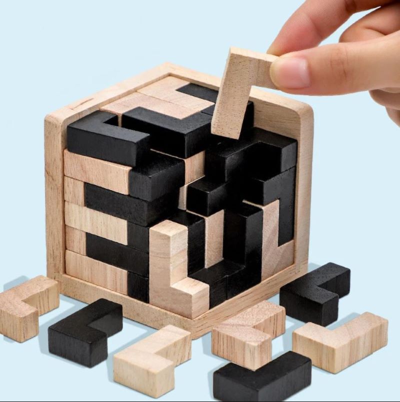 50% OFF | Gameglo™ Wooden Intelligence Brain Teaser Game