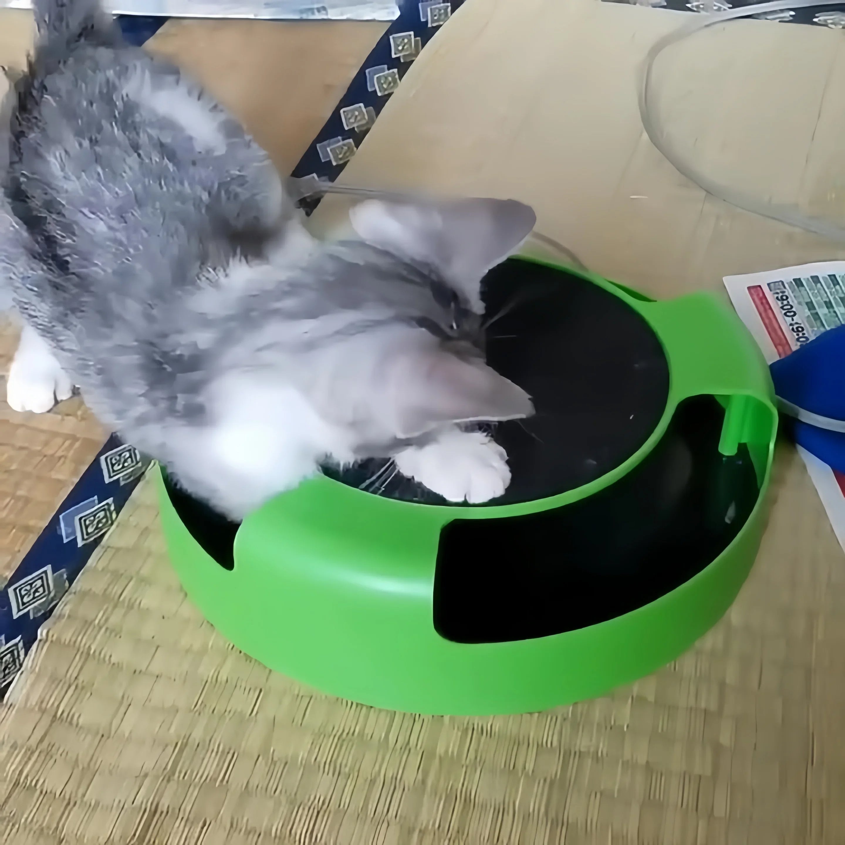 PouncePlay™ | delight your cat with a fast-moving toy mouse!