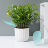 Fundrizz Leaf-Design Watering Funnel | Buy 3 Get 3 Free (6 PCS)