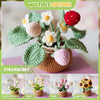 BloomCraft™ - Wool pot plants [Last day discount]