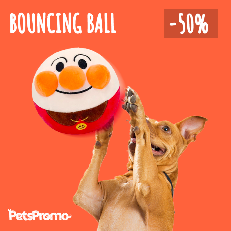 Jollyball Bouncing Ball Dog Toy