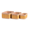 Organizy Storage Baskets | Set of 3 (3PCS)