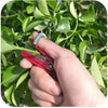 (2+2 Free) Harvester™ - Multifunctional thumb knife for effortless fruit picking and pruning [Last day discount]