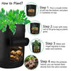 GreenGrove™ Veggie Growing Bag