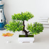 Irbonzai Artificial Bonsai Tree