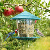 Fidabird Automatic Foot-Filling Bird Feeder