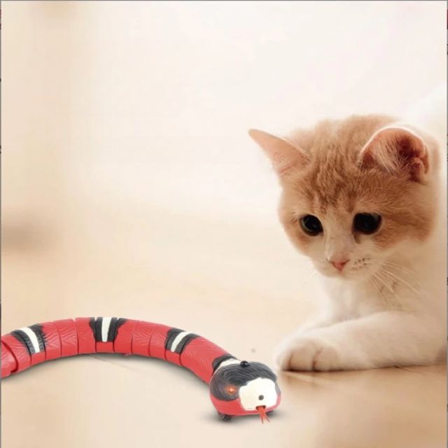 Snakey™️ - Let your cat play for hours [Last day discount]